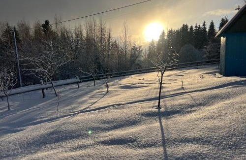 Yablunytsya Casa | Sadiba Rozchil