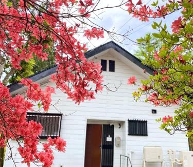 Nikko Casa | Safa's Guest House