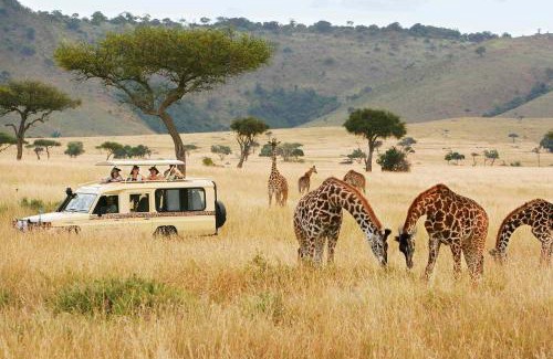 Taita Hills Otro | Safari Bubbles