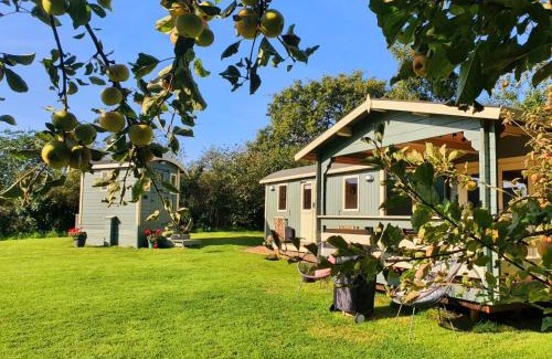 Trelil Otro | Safari Cornwall