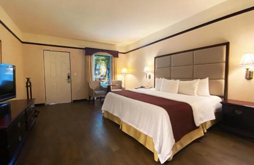 Centro de Monterrey Hotel | Safi Royal Luxury Centro