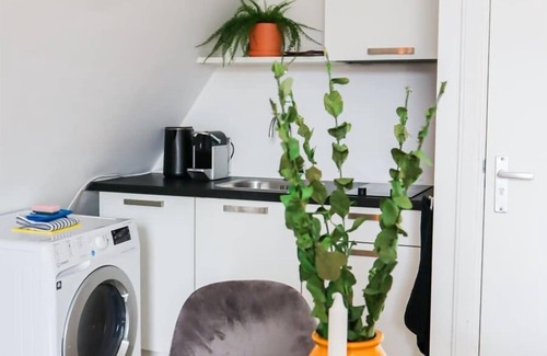 Oude Westen Apartamento | Saftliving Summary: D