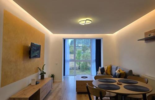 Toplita Apartamento | SaGa Apartament