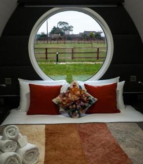 Malahide Casa | Sage- Glamping Pod