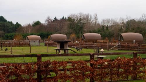 Malahide Casa | Sage- Glamping Pod