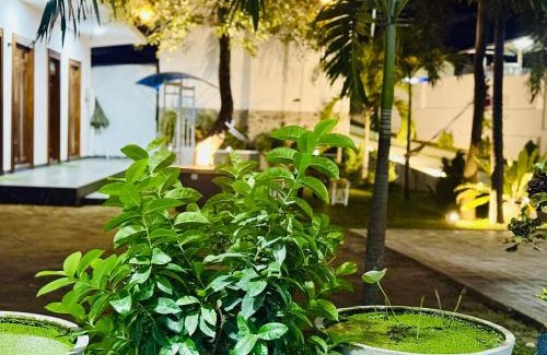Polonnaruwa Casa | Sahan Tourist House