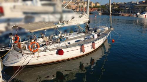 Genoa Alquiler De Eote | sailing Delfina