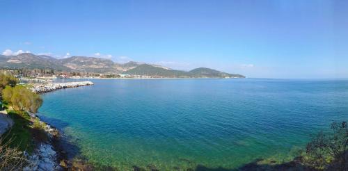 Kavala Casa | Sailor's Delight