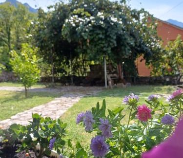 Limljani Casa | Sailor's Rustic House