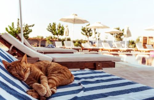 Marmari Otro | Sails on Kos Ecolux Tented Village