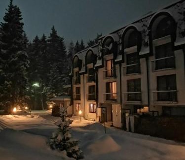 Borovets Hotel | Saint George Borovets Hotel
