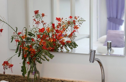 Icarai de Amontada Hotel | Saint Germain Wind Residence