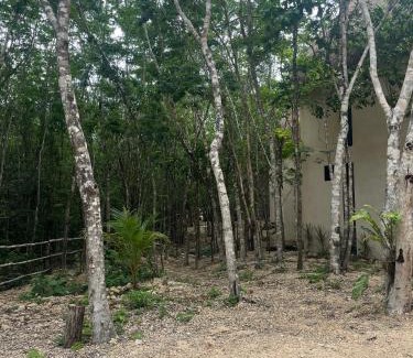 Tulum Otro | Sak lool Tulum