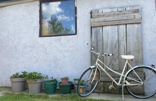 Novi Sad Casa | Salaš na dan, Futog
