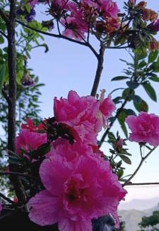 Rishop Casa | Salakhahomestay