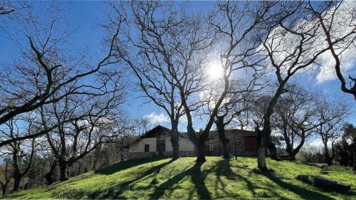 Errigoiti Chalet De Esquí | Sallobante Aterpetxea