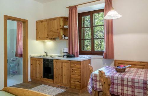 Collalbo Apartamento | Sallrain Hof Monolokal 4