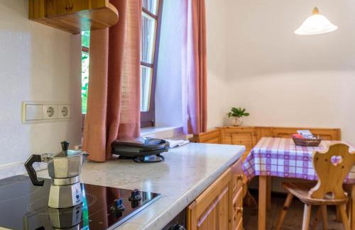 Collalbo Apartamento | Sallrain Hof Monolokal 4