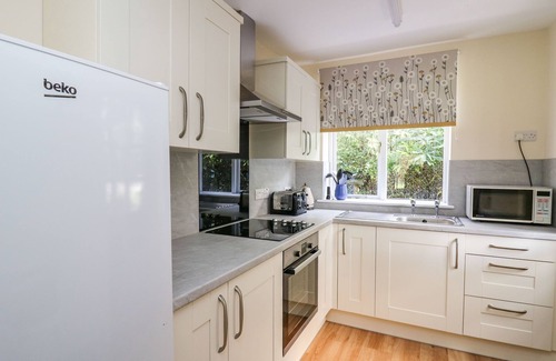 Llanwrthwl Cabaña | Salmon Cottage, LLANWRTHWL