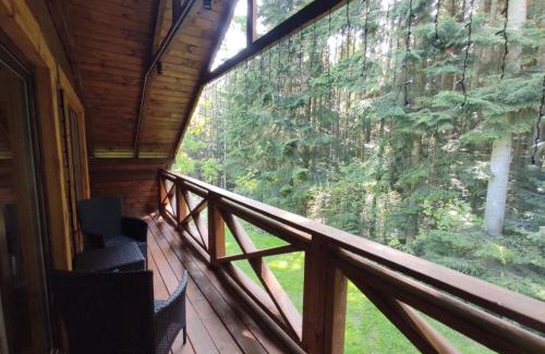 Staryava Complejo | Saltzbork