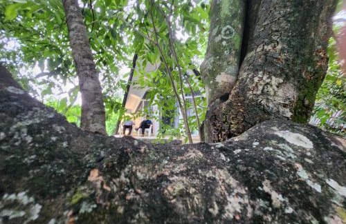 Dambulla Hotel | Samabe Lake
