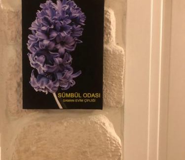 Sindirgi Casa | Saman Evim Çiftliği