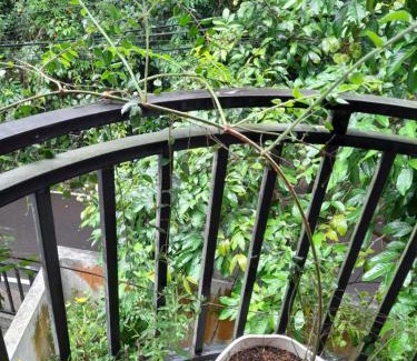 Athurugiriya Apartamento | Samanvila