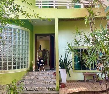 Campeche Sul Casa | Samauma Floripa Aluguel de Quartos