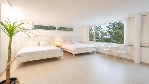 Samcheok Casa | Samcheok Migaloo Pool Villa Pension