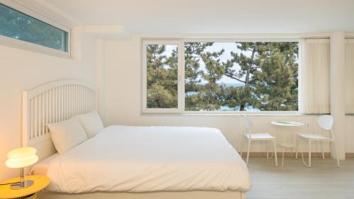 Samcheok Casa | Samcheok Migaloo Pool Villa Pension