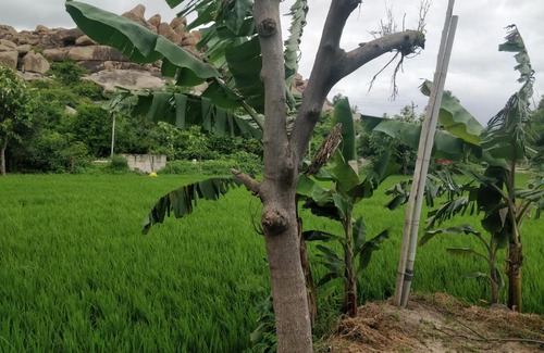 Kamalapur Casa | SAME PLACE Hampi