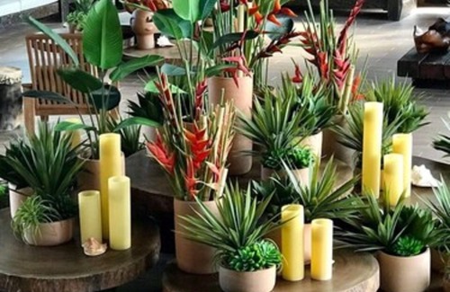 Porto de Galinhas Complejo | Samoa Beach Resort