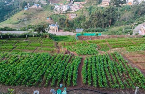 Kodaikanal Casa | SAMS Cottage - Kodaikanal