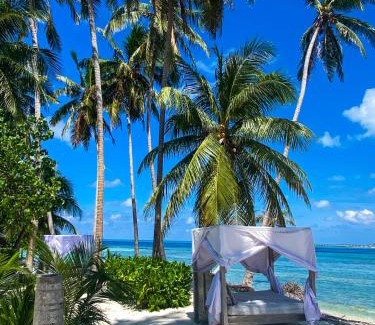Thulusdhoo Island Casa | Samura Maldives Guest House Thulusdhoo