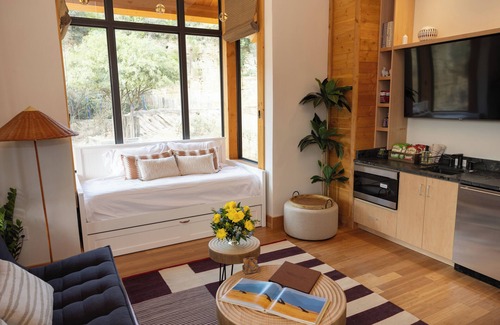 Uptown Cabina | San Antonio Zoo - Spekboom Giraffe Lodge