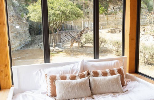 Uptown Cabina | San Antonio Zoo - Spekboom Giraffe Lodge