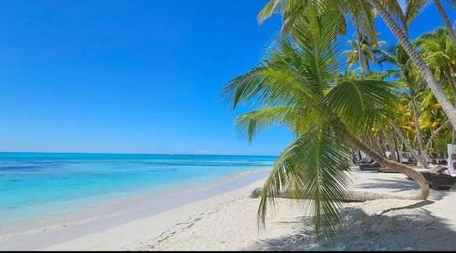 Carti Tupile Cabina | San Blas Tours Aridub