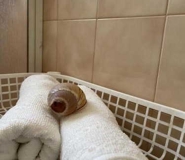 Torreira Villa | Sand Guest House Torreira