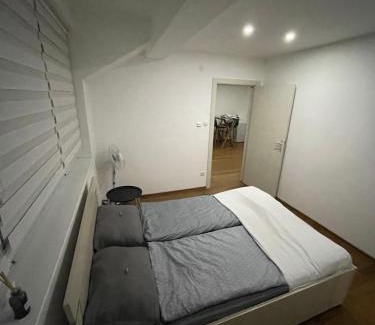 Vrsac Apartamento | Sandra apartmani 4