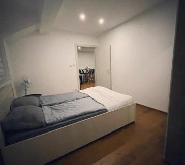 Vrsac Apartamento | Sandra apartmani 4
