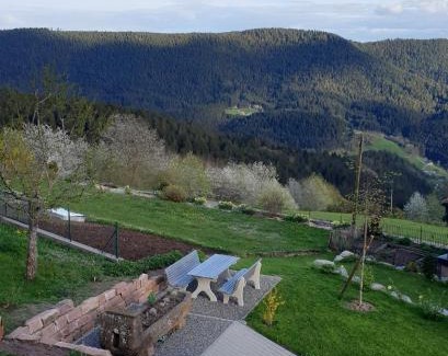 Bad Rippoldsau-Schapbach Apartamento | Sandras Bergstation