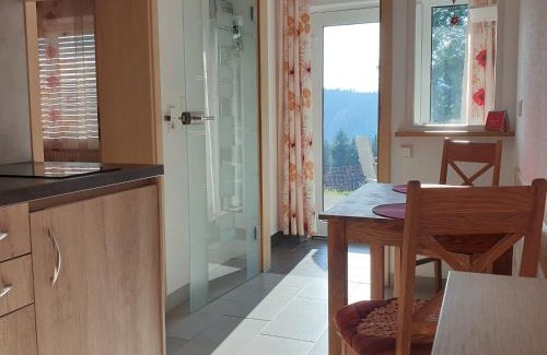 Bad Rippoldsau-Schapbach Apartamento | Sandras Bergstation