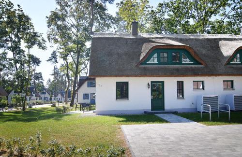 Zirchow Casa | Sandregenpfeifer
