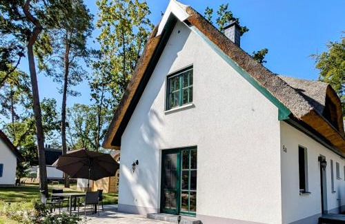 Zirchow Casa | Sandregenpfeifer