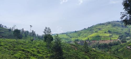 Ooty Casa | Sandy 4 Bhk Homestay - Only Adults Allowed