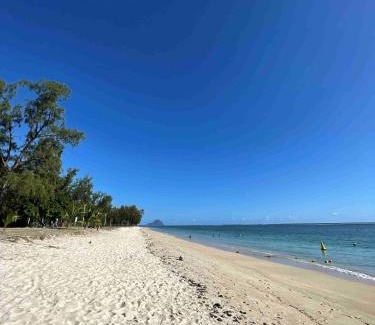 Wolmar Casa | Sandy Shore