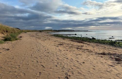 Dornoch Otro | Sandy Shores