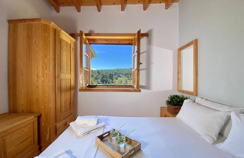 Sane Casa | Sani Olive Grove Gem - The Ultimate Sunny Getaway