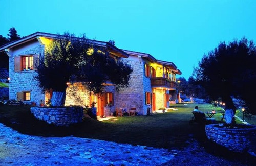 Sane Casa | Sani Olive Grove Gem - The Ultimate Sunny Getaway