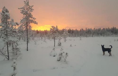 Rovaniemi Apartamento | Santa's cottage